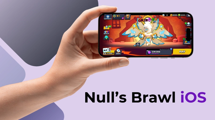 What is Null's Brawl Private Server