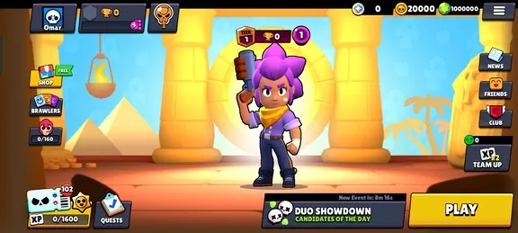 Brawler
